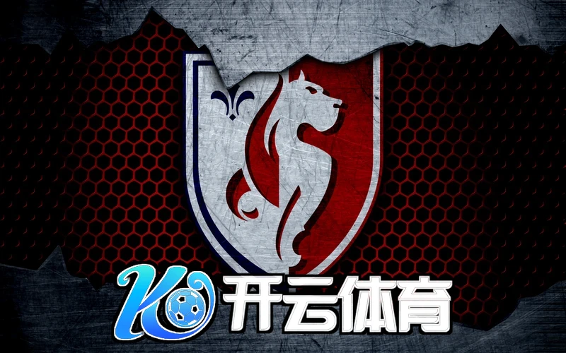 开云综合app下载相关图片