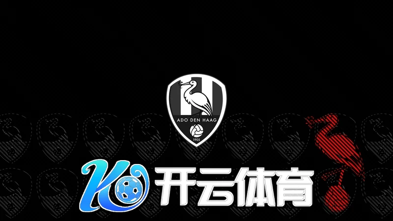 全面解析开体育app官网入口下载的功能与特点