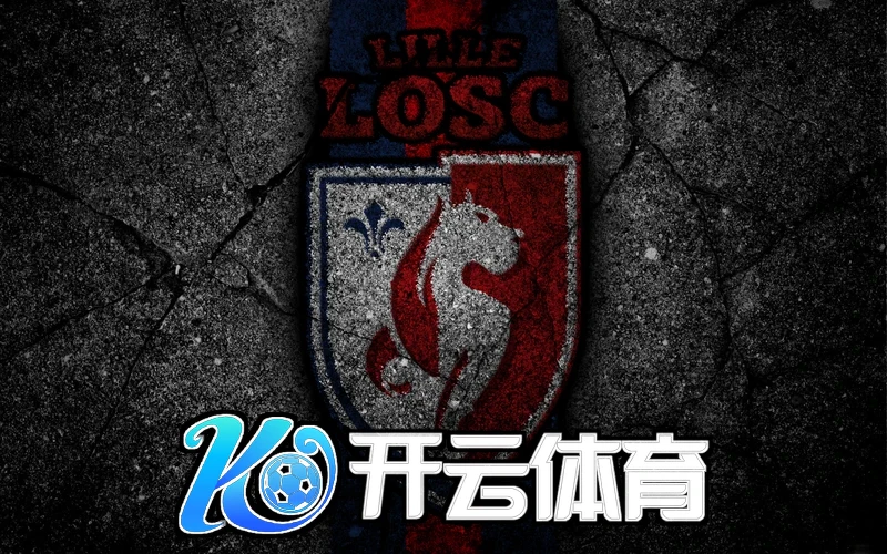 云开·全站体育APP登录官网相关图片