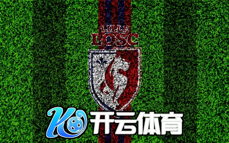kaiyun体育官网入口登录未来展望