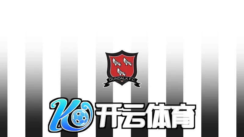 云开体育APP下载总结