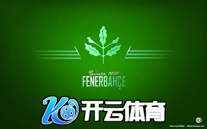 开云体育在线登陆相关图片