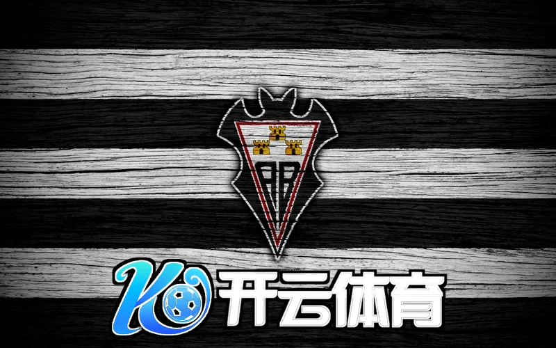 云开·网页版入口游戏截图
