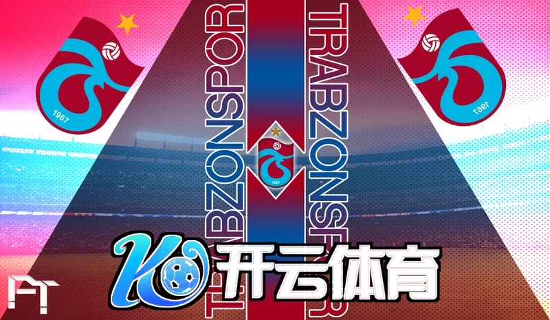 ky体育官网入口下载手机版功能展示