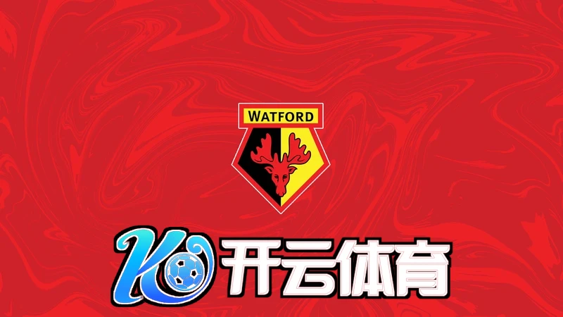 云开・全站APP登录入口APP下载新手引导与操作流程示意
