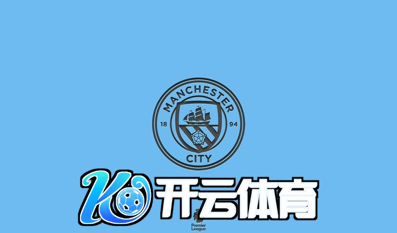 开云官方网站登录入口安全防护