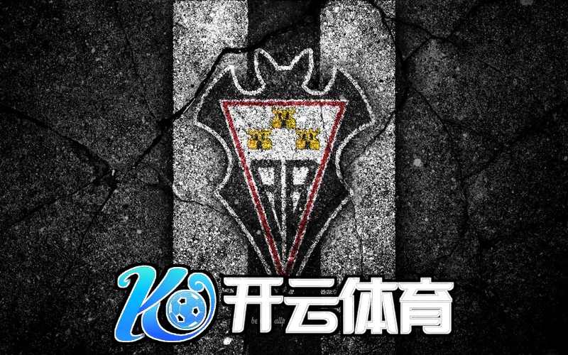 kaiyun官方平台app下载官网用户界面