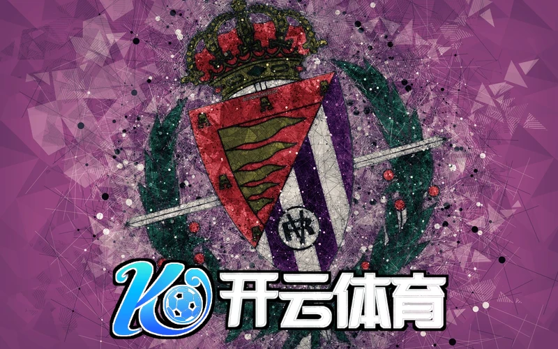 kaiyun体育app下载界面