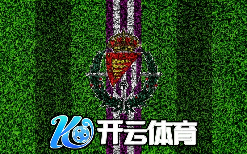 云开app下载官网手机版延伸阅读与使用建议配图