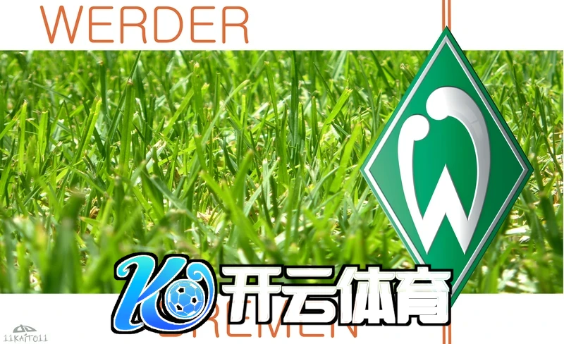 云开体育APP游戏用户反馈