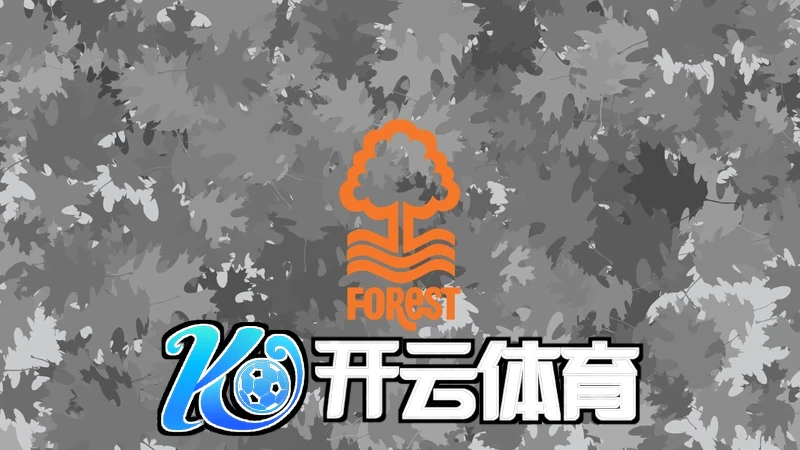 开云体云app官网相关图片