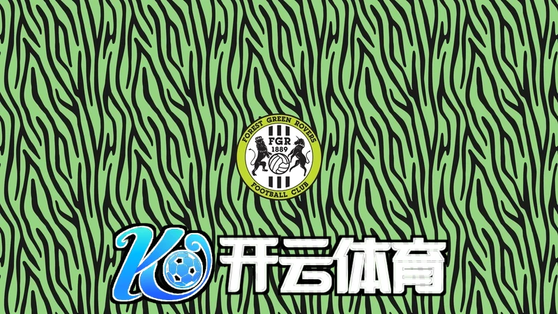 开云电脑版下载后安装步骤界面