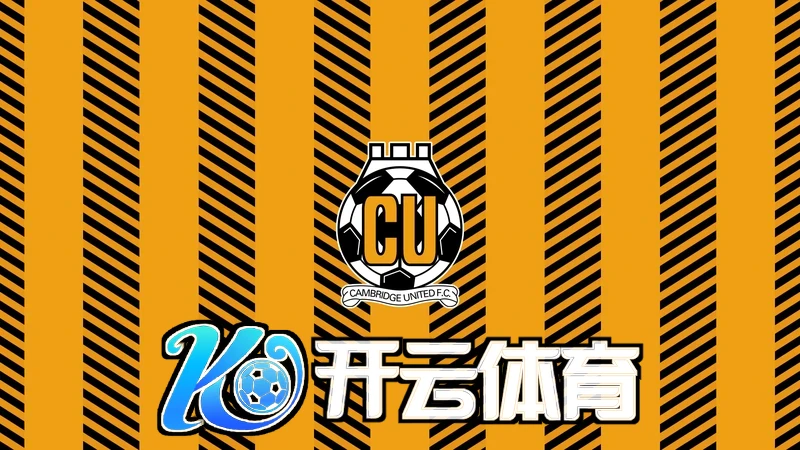 开云官方在线入口智能聚合引擎示意图