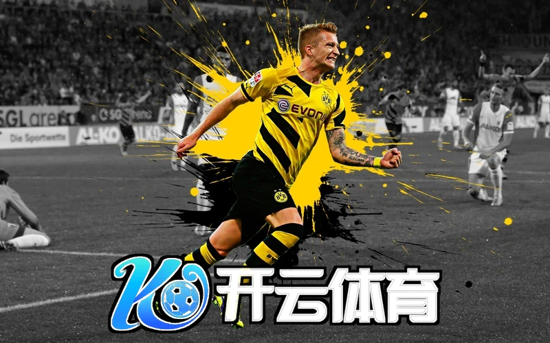开云体育入口相关图片