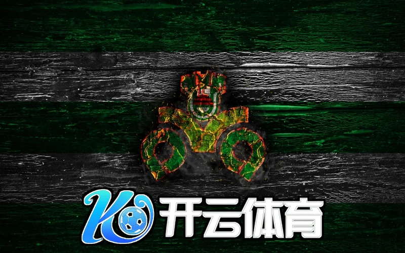 玩家反馈与社区反应图