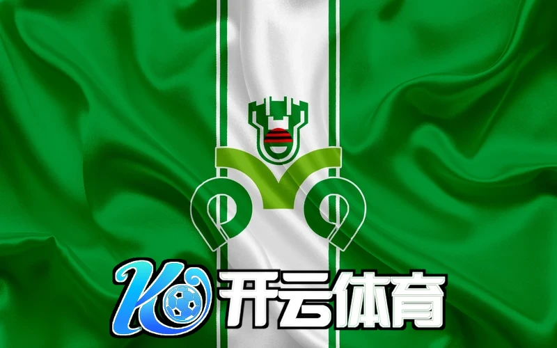 开云kaiyun网站生态合作场景