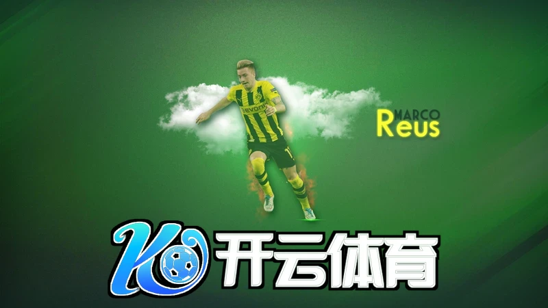 kaiyun体育app官网入口网页版下载 介绍