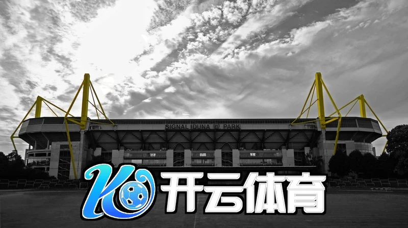 开云app平台下载核心硬件解析