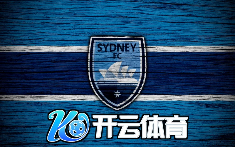 开云手机登陆入口多端互联体验