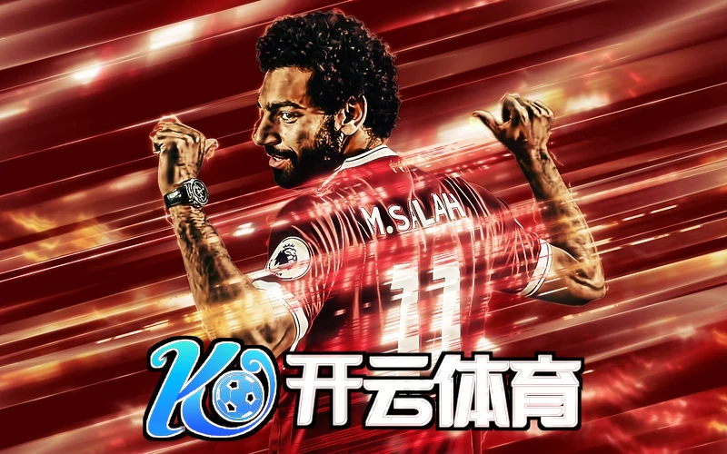 kaiyun平台手机网页版账户登录与个人中心操作界面