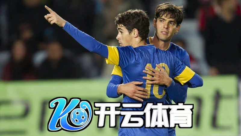kaiyun官方网站登陆入口图片2