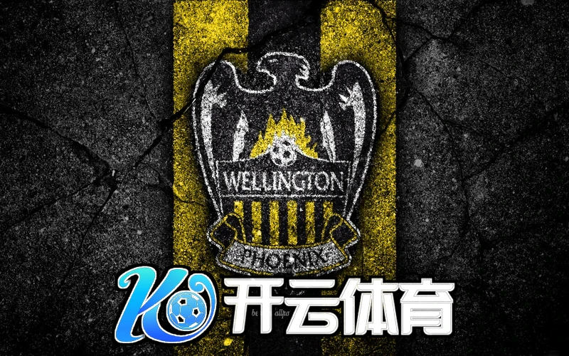 Kaiyun体育全站APP相关图片