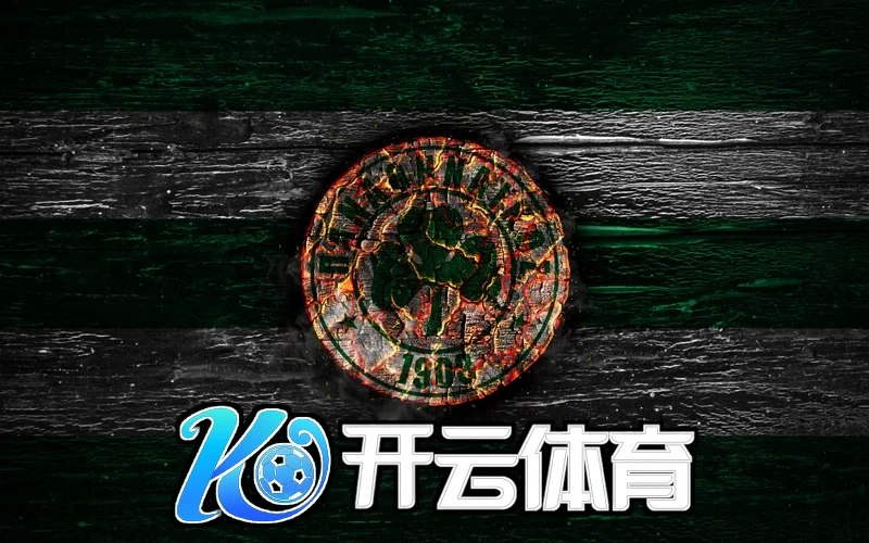 开云体云app官方网站型号C多端协同场景示意图