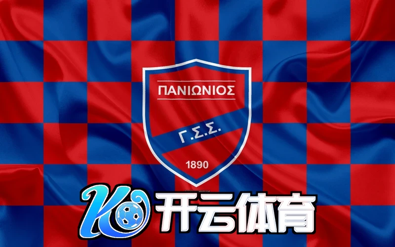 开云kaiyun网站安全防护体系示意图