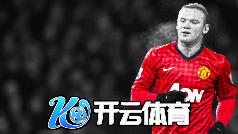 开云体云app官网在线登陆相关图片