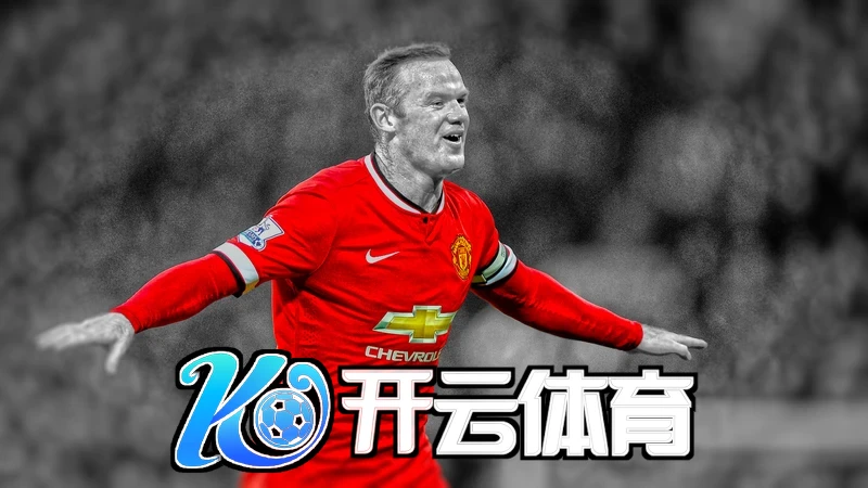 云开体育app官网入口ios版深色模式与卡片布局