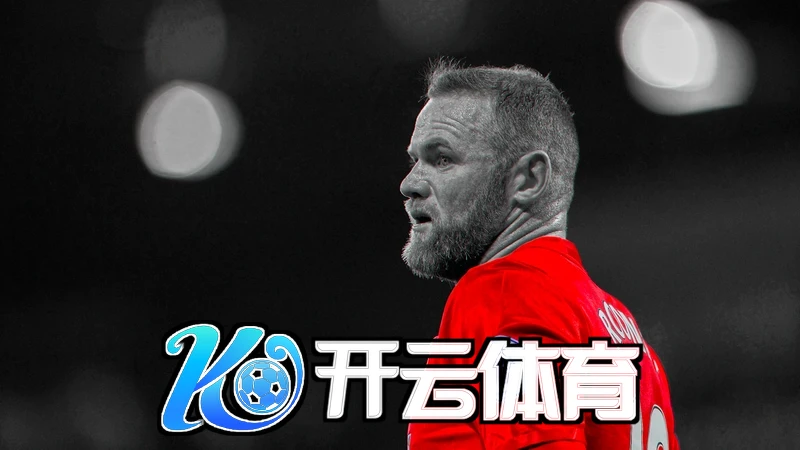 牛牛体育网站入口链接场景图片