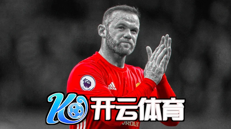 安全访问开云登入网址步骤