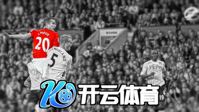Kaiyun体育app登录入口的核心功能