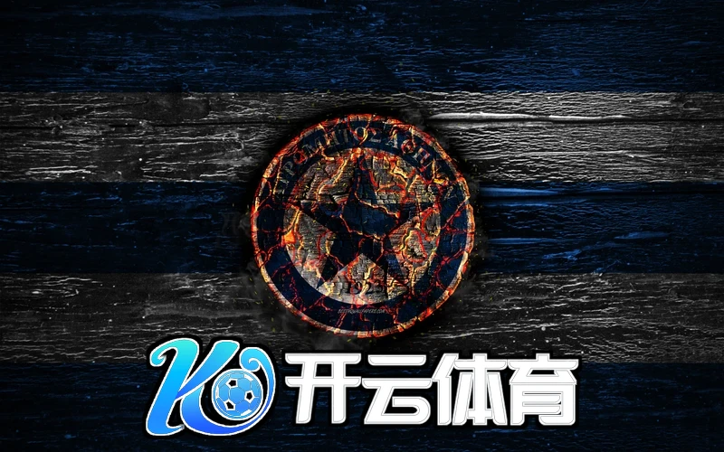 开云app最新官方相关图片