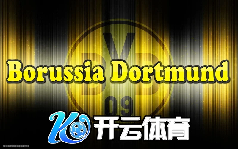 开云手机入口官网入口链路与性能优化机制示意图