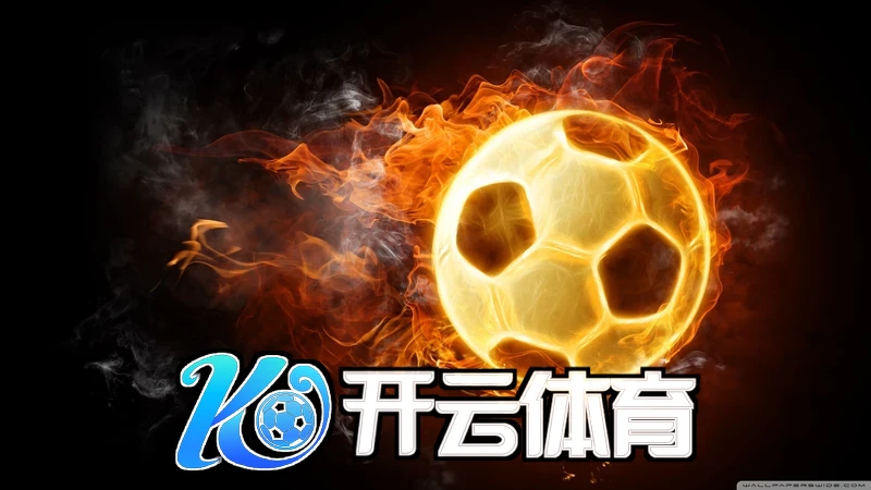 全面了解B体育官网下载入口的功能与特点