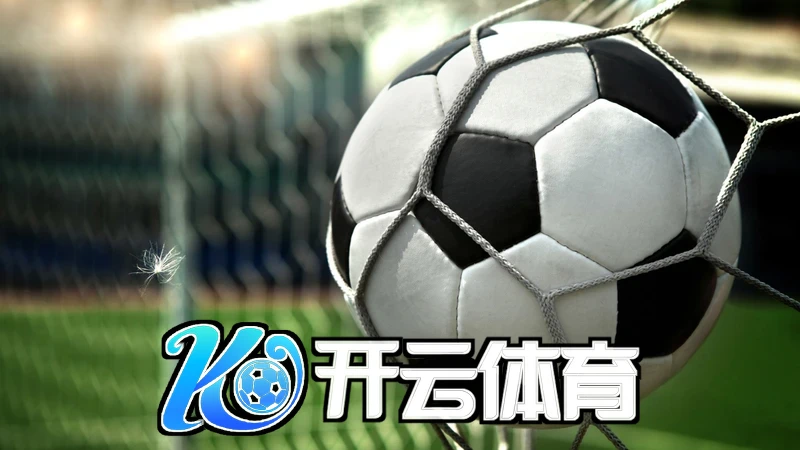 深入解析28圈官方网站的游戏玩法与特色