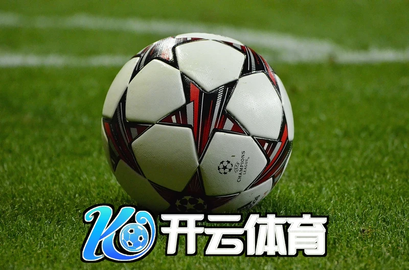 开云app入口下载3.0技术架构示意图