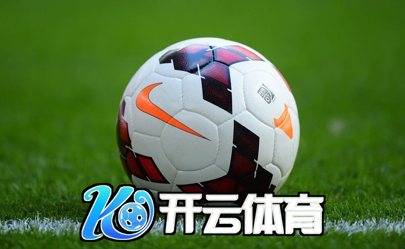 kaiyun体育官网登录入口网页版相关图片