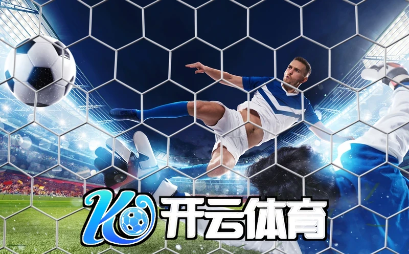 kaiyun体育手机网页版登录入口支付方式对比相关图片