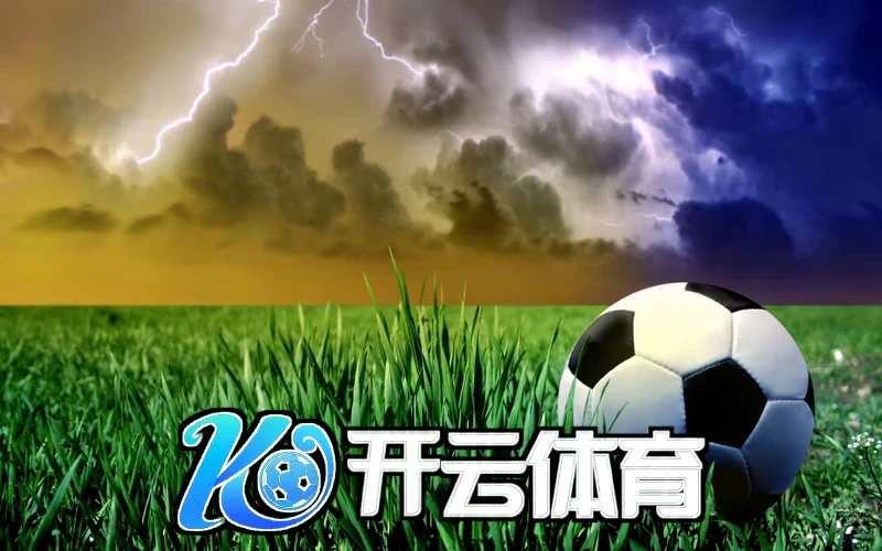 开云app平台入口生态与竞争力相关图片