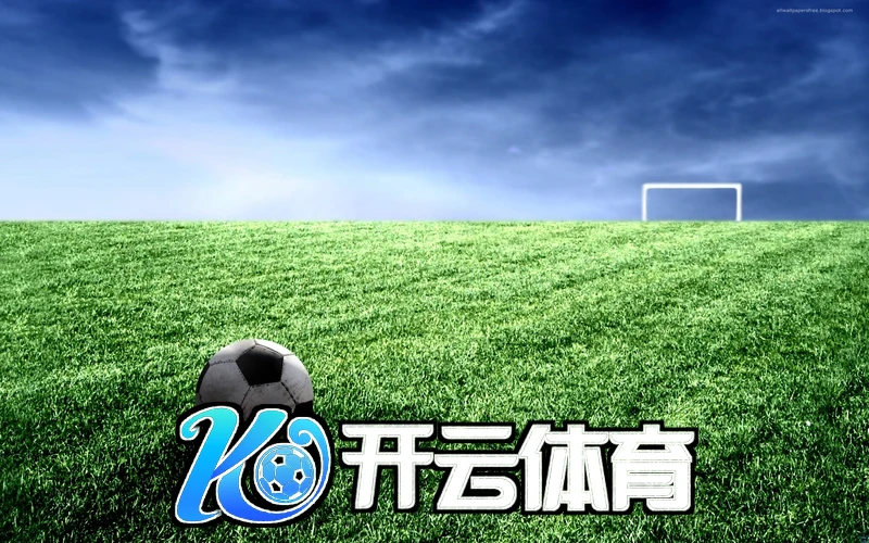 开云app官方入口下载安装案例分析图片