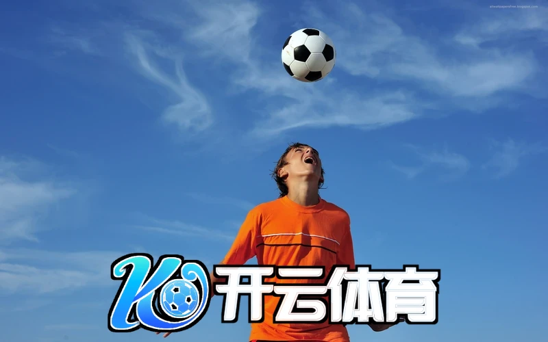 开云app网站下载相关图片
