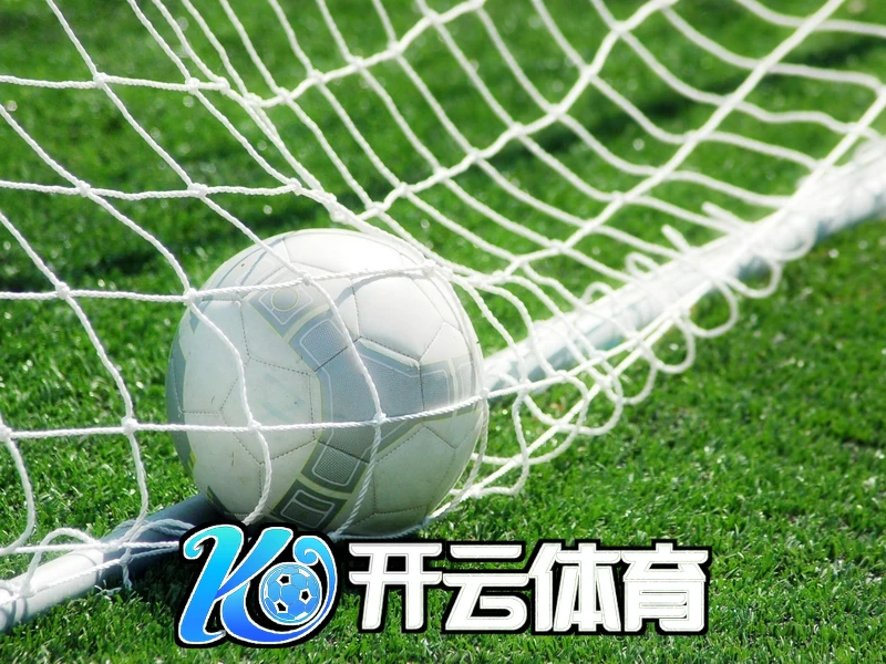 开云体育网页版用户案例