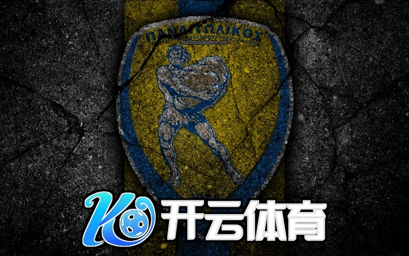 kaiyun体育app下载安卓手机界面