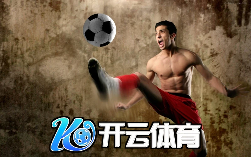 云开官方网站登录入口 2026年第三季度 运行数据示意图