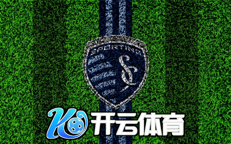 开云app手机网页版新特性分析