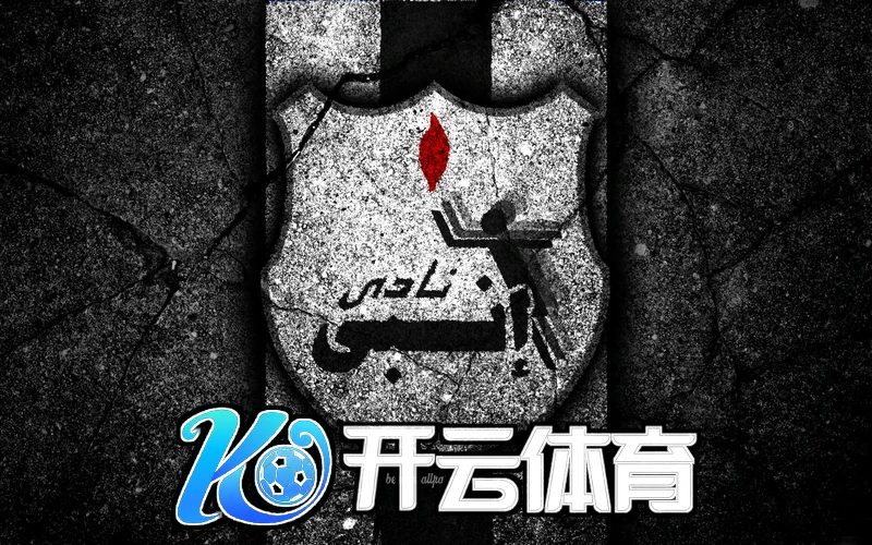 云开官网登录入口iOS版下载安装界面示意图