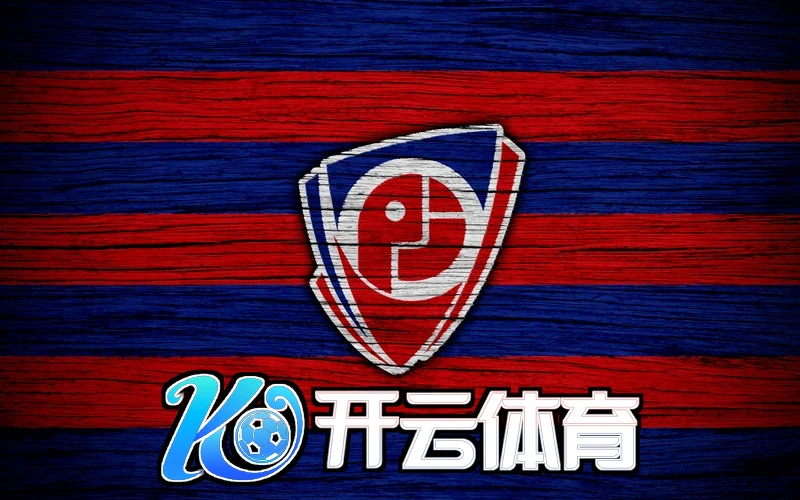 Kaiyun官网登录入口的界面示例