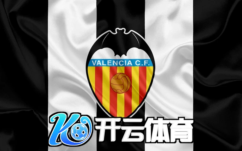 用户反馈